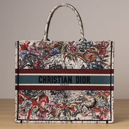 Dior Book Tote Bag