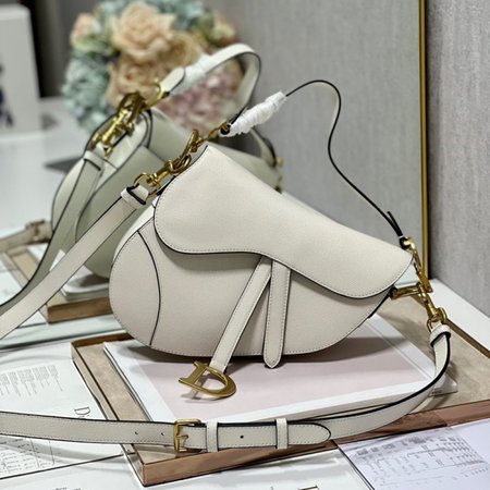 Dior Saddle Bag