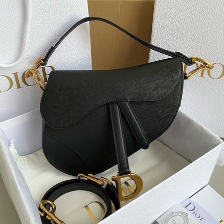 Dior Saddle M0447