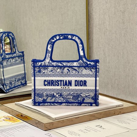 Dior Book Tote Mini M1286